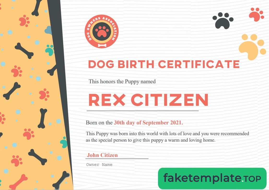 Feature of fake USA Dog Birth cert